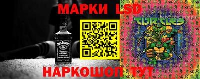 шишки Гусиноозёрск