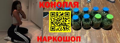 шишки Гусиноозёрск
