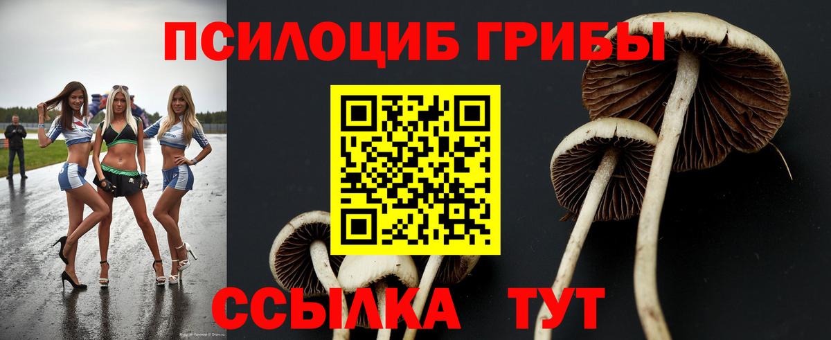 закладка  Псилоцибиновые грибы Cubensis  Галлюциногенные грибы ЛСД  Вход с VPN  Новосибирск 