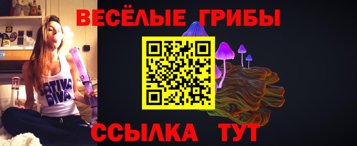 Псилоцибиновые грибы ЛСД Новосибирск